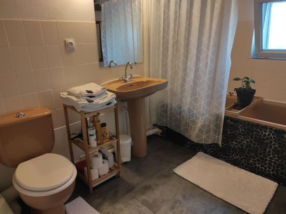 Appartement De Charme Coeur Historique Perigueux Ngoại thất bức ảnh